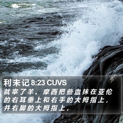 利 未 记 8:23 CUVS Bible Verse Image