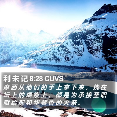 利 未 记 8:28 CUVS Bible Verse Image