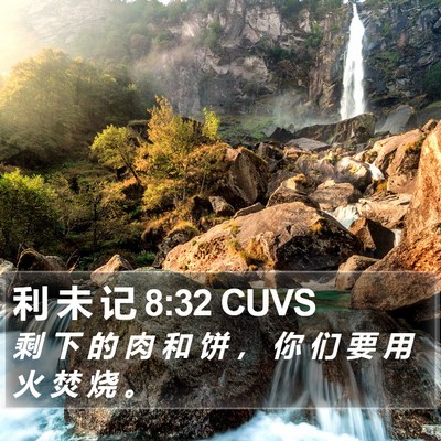 利 未 记 8:32 CUVS Bible Verse Image