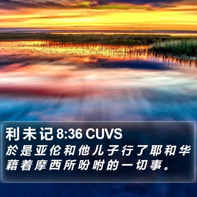 利 未 记 8:36 CUVS Bible Verse Image