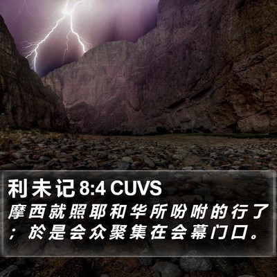 利 未 记 8:4 CUVS Bible Verse Image
