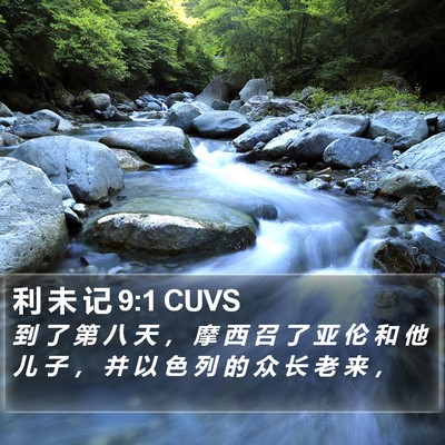 利 未 记 9:1 CUVS Bible Verse Image