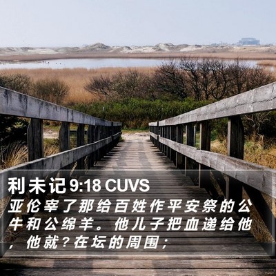 利 未 记 9:18 CUVS Bible Verse Image