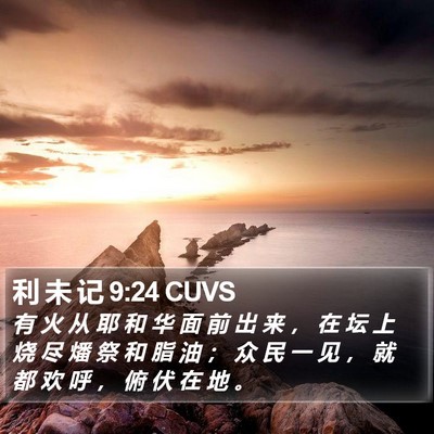 利 未 记 9:24 CUVS Bible Verse Image
