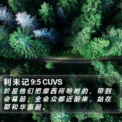 利 未 记 9:5 CUVS Bible Verse Image