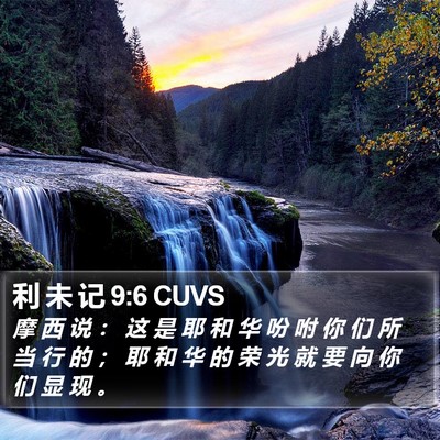利 未 记 9:6 CUVS Bible Verse Image