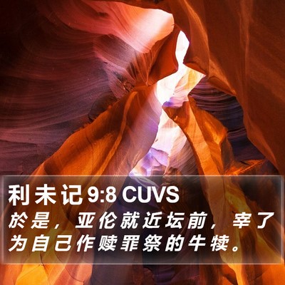 利 未 记 9:8 CUVS Bible Verse Image
