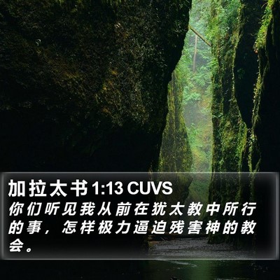 加 拉 太 书 1:13 CUVS Bible Verse Image
