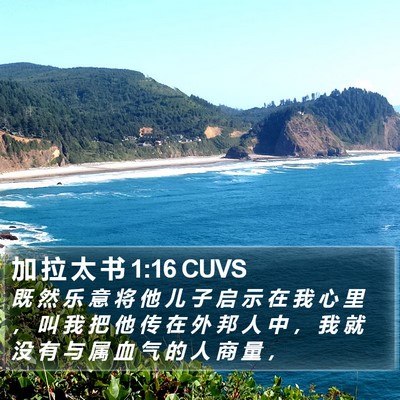 加 拉 太 书 1:16 CUVS Bible Verse Image