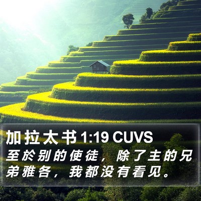 加 拉 太 书 1:19 CUVS Bible Verse Image