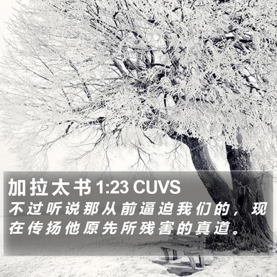 加 拉 太 书 1:23 CUVS Bible Verse Image