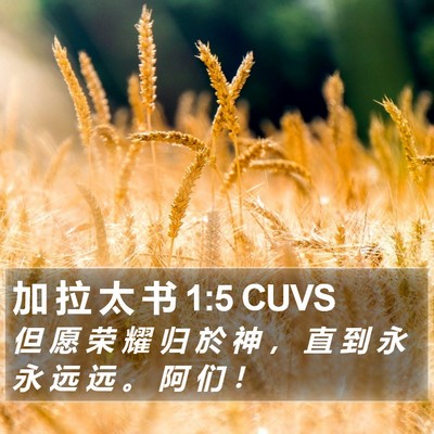 加 拉 太 书 1:5 CUVS Bible Verse Image