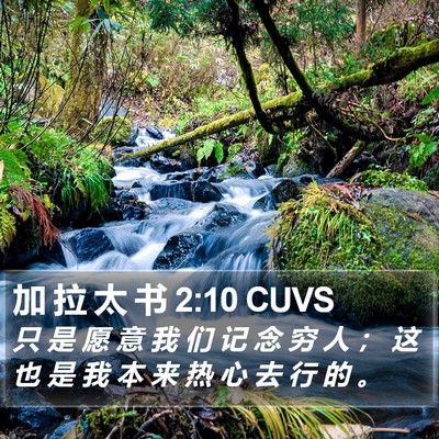 加 拉 太 书 2:10 CUVS Bible Verse Image