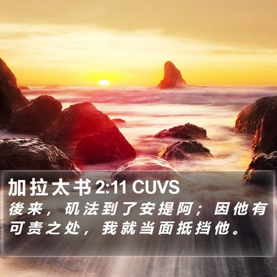 加 拉 太 书 2:11 CUVS Bible Verse Image