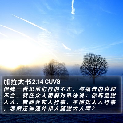 加 拉 太 书 2:14 CUVS Bible Verse Image