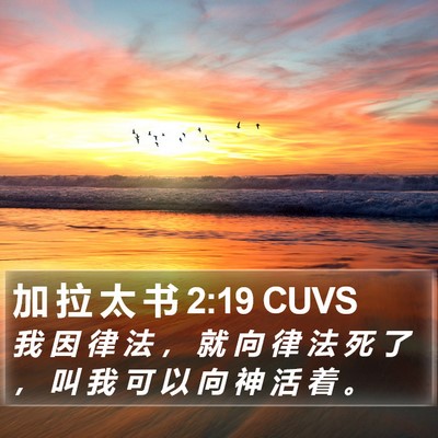 加 拉 太 书 2:19 CUVS Bible Verse Image
