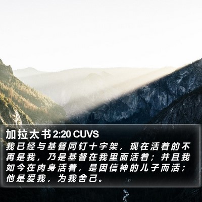 加 拉 太 书 2:20 CUVS Bible Verse Image