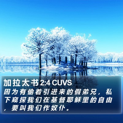 加 拉 太 书 2:4 CUVS Bible Verse Image