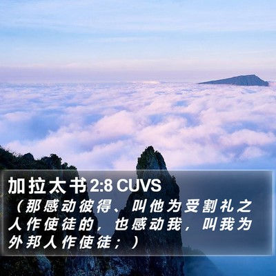 加 拉 太 书 2:8 CUVS Bible Verse Image