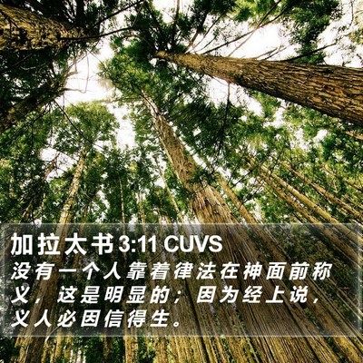 加 拉 太 书 3:11 CUVS Bible Verse Image