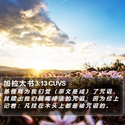 加 拉 太 书 3:13 CUVS Bible Verse Image