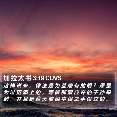 加 拉 太 书 3:19 CUVS Bible Verse Image