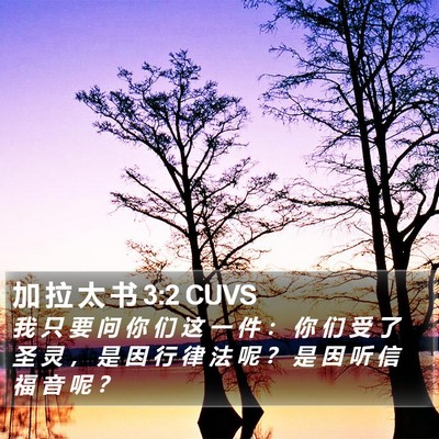 加 拉 太 书 3:2 CUVS Bible Verse Image