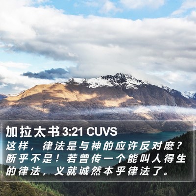 加 拉 太 书 3:21 CUVS Bible Verse Image