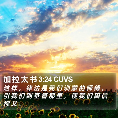 加 拉 太 书 3:24 CUVS Bible Verse Image