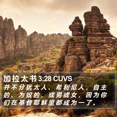 加 拉 太 书 3:28 CUVS Bible Verse Image