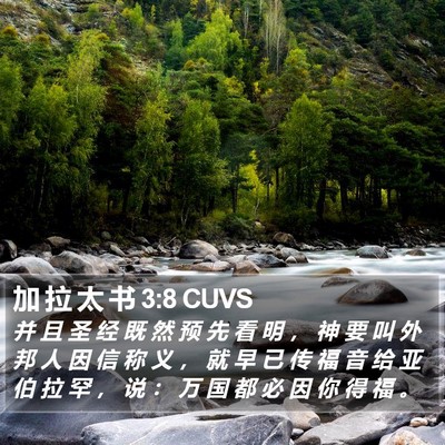 加 拉 太 书 3:8 CUVS Bible Verse Image