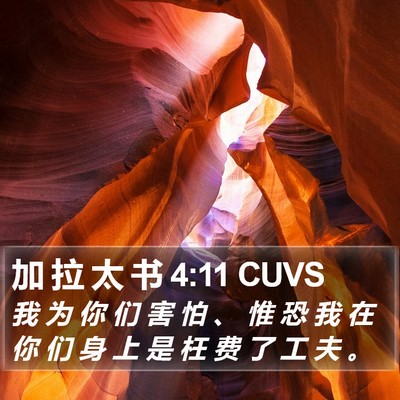 加 拉 太 书 4:11 CUVS Bible Verse Image
