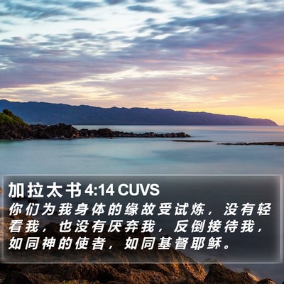 加 拉 太 书 4:14 CUVS Bible Verse Image
