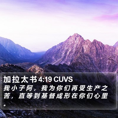 加 拉 太 书 4:19 CUVS Bible Verse Image