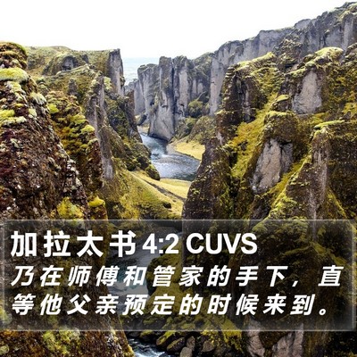 加 拉 太 书 4:2 CUVS Bible Verse Image