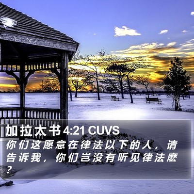 加 拉 太 书 4:21 CUVS Bible Verse Image