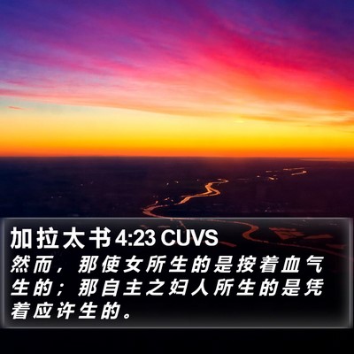 加 拉 太 书 4:23 CUVS Bible Verse Image