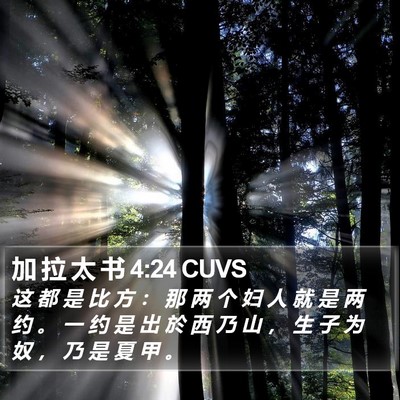 加 拉 太 书 4:24 CUVS Bible Verse Image