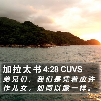 加 拉 太 书 4:28 CUVS Bible Verse Image