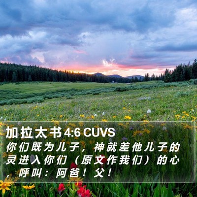 加 拉 太 书 4:6 CUVS Bible Verse Image