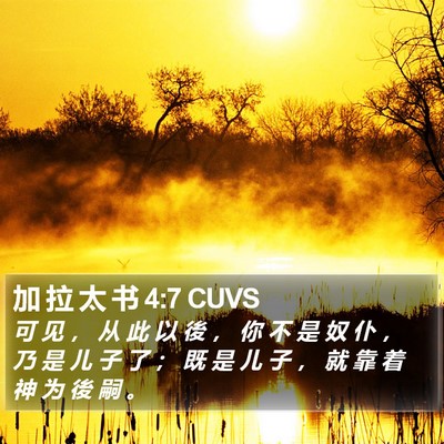 加 拉 太 书 4:7 CUVS Bible Verse Image