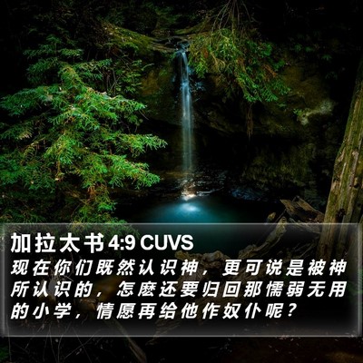 加 拉 太 书 4:9 CUVS Bible Verse Image