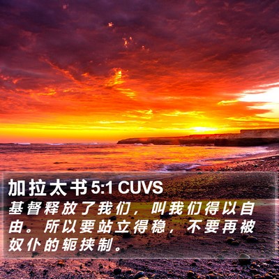 加 拉 太 书 5:1 CUVS Bible Verse Image