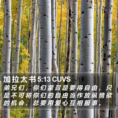 加 拉 太 书 5:13 CUVS Bible Verse Image