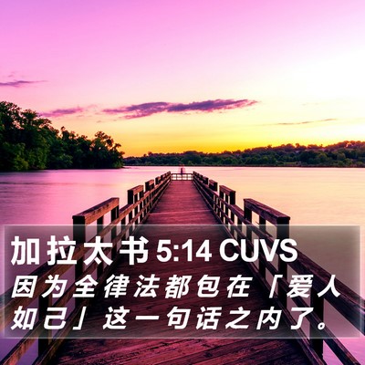 加 拉 太 书 5:14 CUVS Bible Verse Image