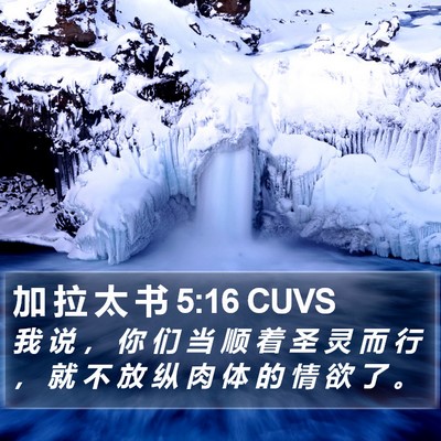 加 拉 太 书 5:16 CUVS Bible Verse Image