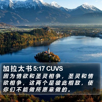 加 拉 太 书 5:17 CUVS Bible Verse Image