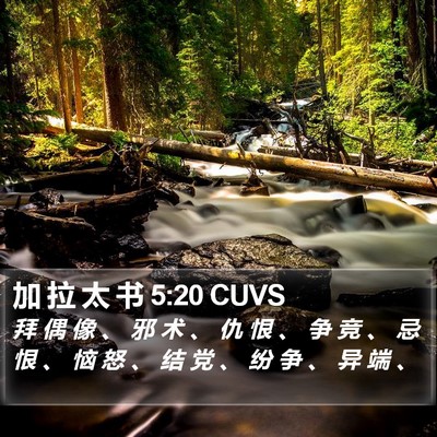 加 拉 太 书 5:20 CUVS Bible Verse Image