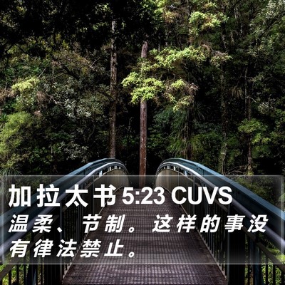 加 拉 太 书 5:23 CUVS Bible Verse Image