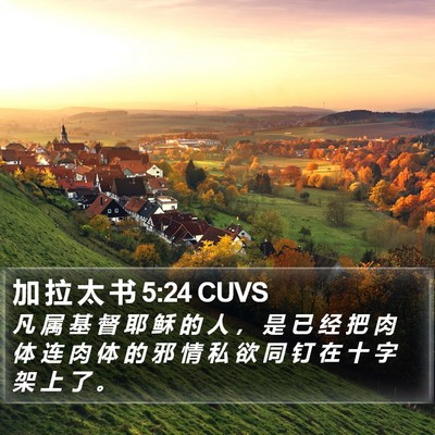 加 拉 太 书 5:24 CUVS Bible Verse Image
